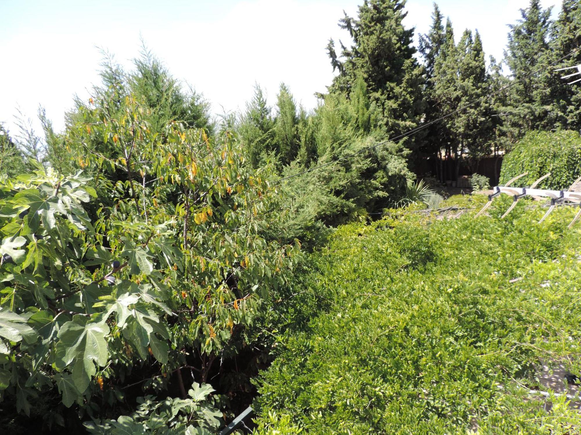 Вилла Casa Con Jardin Y Aparcamiento En Viznar, Junto A Granada Экстерьер фото